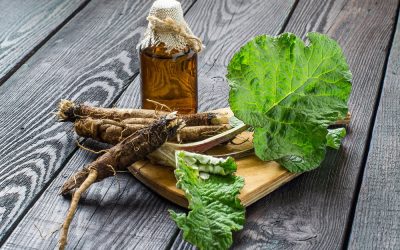 Health Benefits of Burdock Root